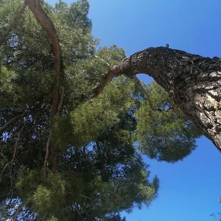 Peponi Del Mar Ii * Biograd Na Moru