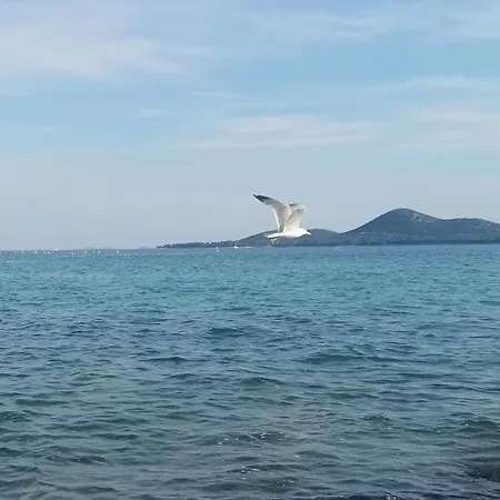 Kemping Peponi Del Mar Ii Biograd Na Moru