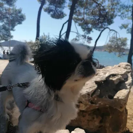 Peponi Del Mar Ii Kamp Biograd Na Moru