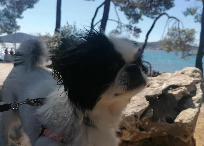 Peponi Del Mar Ii Κάμπινγκ Biograd Na Moru