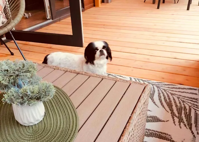 Peponi Del Mar Ii * Biograd Na Moru