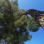 Peponi Del Mar Ii * Biograd Na Moru