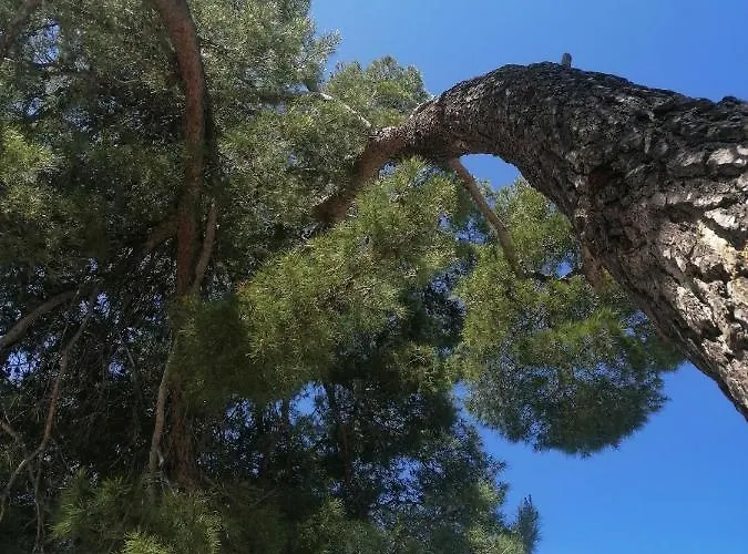 Peponi Del Mar Ii * 비오그라드나모루