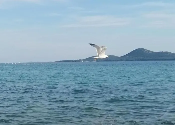 캠프장 Peponi Del Mar Ii 비오그라드나모루